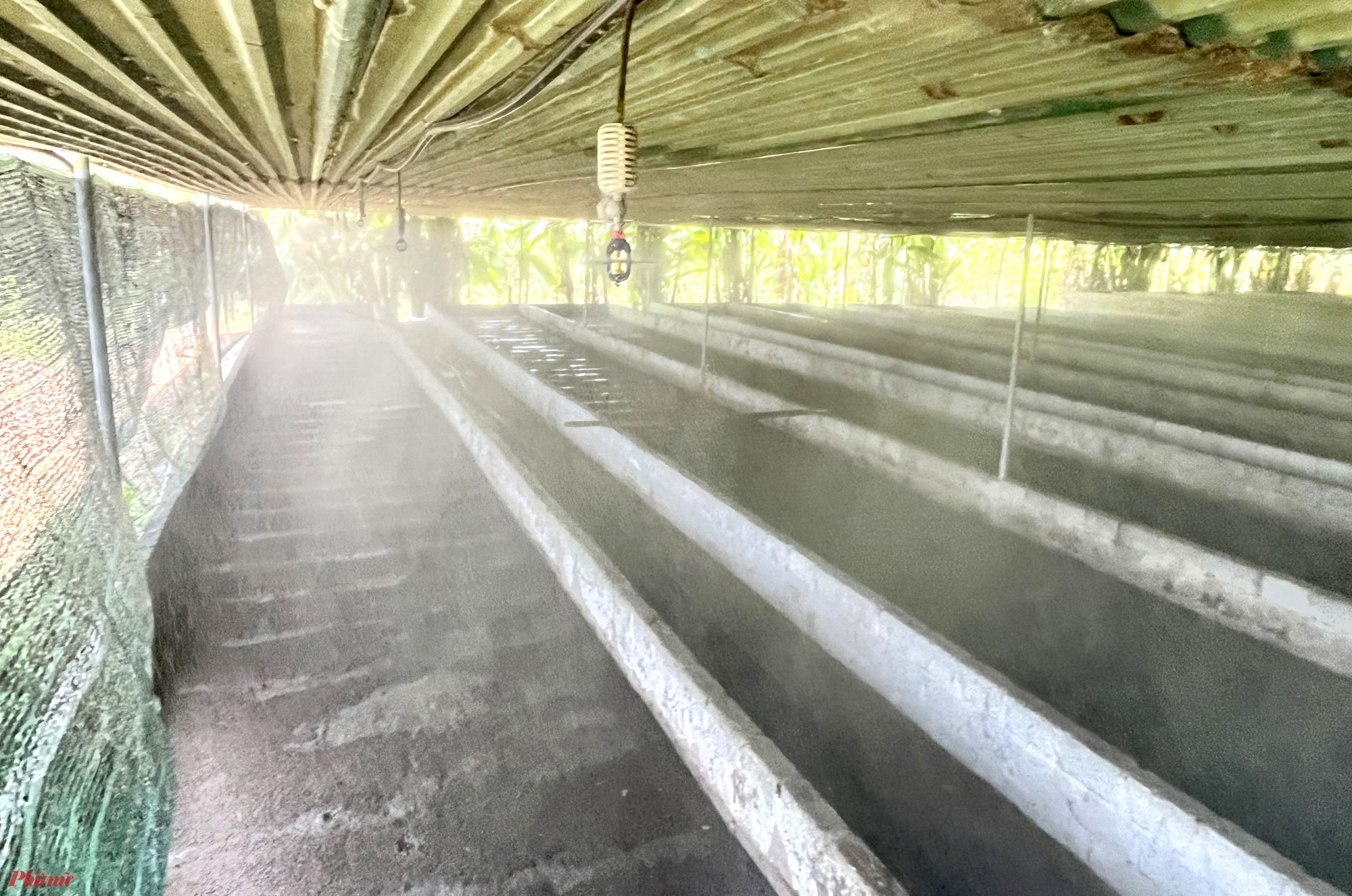 Hệ thống phun sương làm mát, giảm nhiệt độ bên trong trang trại nuôi giun - Ảnh: Phan Ngọc