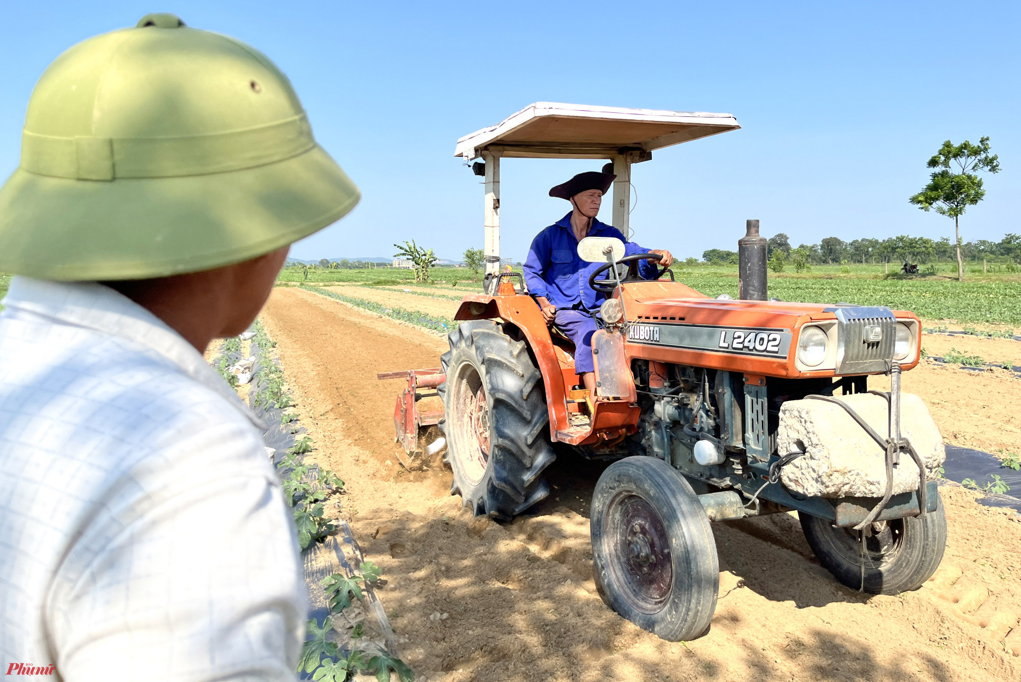 Sau khi thu hoạch, những ruộng dưa nhanh chóng được làm đất để chuẩn bị vụ dưa mới.