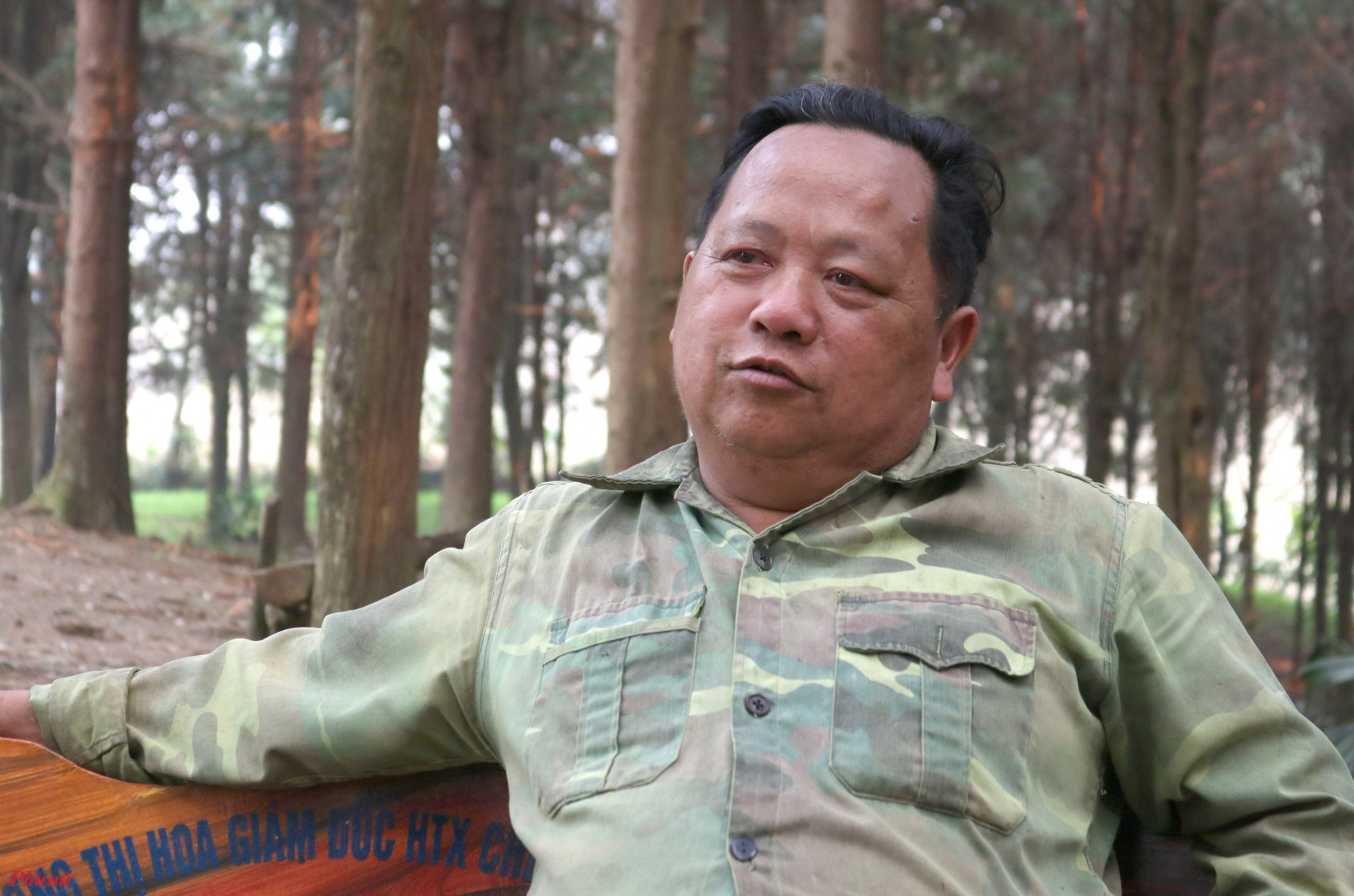 Ông Vừ Vả Chống (56 tuổi, trú xã Huồi Tụ) là người đầu tiên trong xã tiên phong trồng rừng pơ mu. Sau 2 thập kỷ hồi sinh cây pơ mu, nay ông Chống đã sở hữu hơn 10ha rừng pơ mu xanh tốt.'