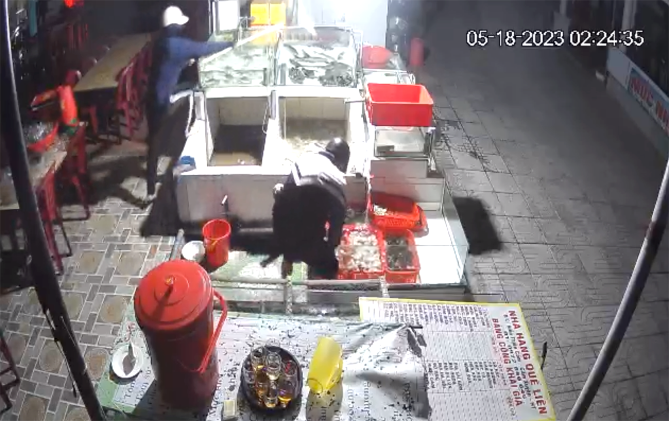 2 thanh niên vô tư bắt trộm hải sản của nhà hàng ở Khu du lịch Thiên Cầm - Ảnh cắt từ clip