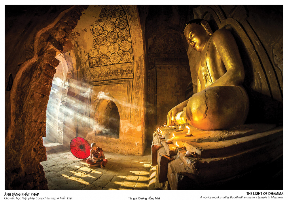 Tác phẩm Ánh sáng Phật pháp - giải Khuyến khích