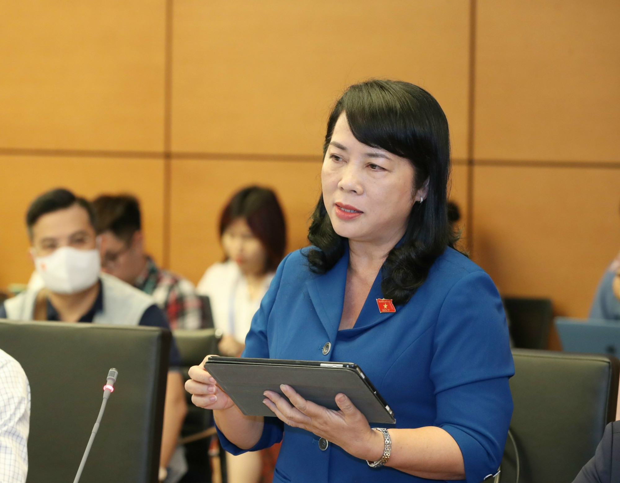 ĐBQH Trần Kim Yến cho rằng cần cụ thể danh mục các dự án có sử dụng đất thực hiện đấu thầu