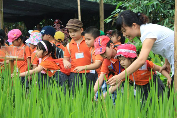 Hà Nội yêu cầu hạn chế tổ chức hoạt động trải nghiệm tự phát. Ảnh minh họa