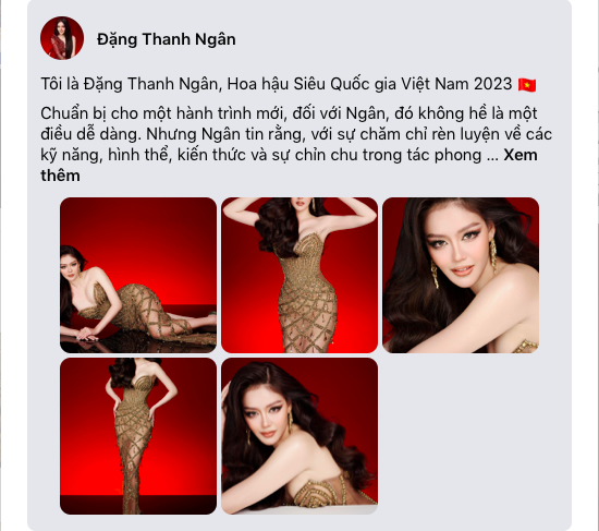 Việc tự xưng Hoa hậu Siêu quốc gia Việt Nam 2023 khiến Đặng Thanh Ngân nhận nhiều bình luận tiêu cực từ công chúng