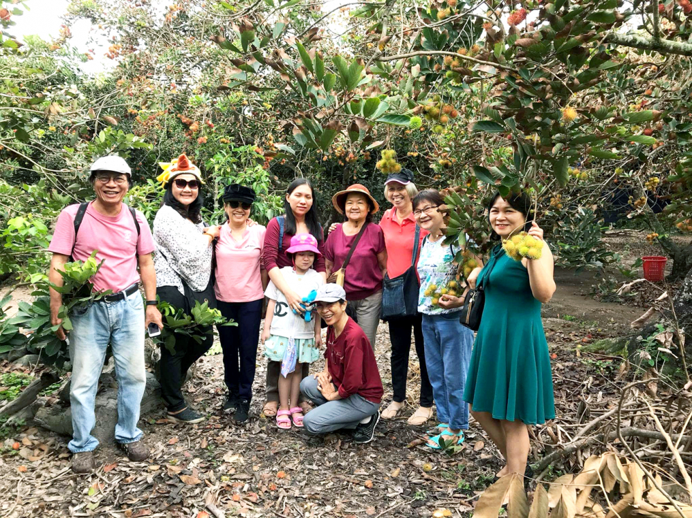Vùng ven sông Sài Gòn có đủ điều kiện để cây ăn trái phát triển nhưng hiệu quả kinh tế từ vườn thấp khiến diện tích vườn thu hẹp  - ẢNH: S.V.