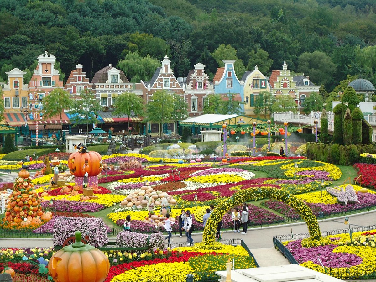 Everland là công viên giải trí lớn nhất ở Hàn Quốc, thu hút khoảng 7,3 triệu lượt khách du lịch hàng năm. Nơi đây còn trở thành công viên được ghé thăm nhiều thứ 16 trên thế giới vào năm 2014. Trẻ em có thể ngắm nhìn các buổi biểu diễn được thực hiện bởi các loài động vật; đi tàu lượn siêu tốc bằng gỗ dài thứ 4 hoặc có thể vẽ tranh biếm họa với gia đình mình tại công viên. Ngoài các trò chơi cảm giác mạnh dành cho người lớn, công viên còn có khu giải trí châu Âu nếu bạn muốn cảm nhận không gian châu Âu và trải nghiệm ẩm thực cao cấp tại các nhà hàng sang trọng.