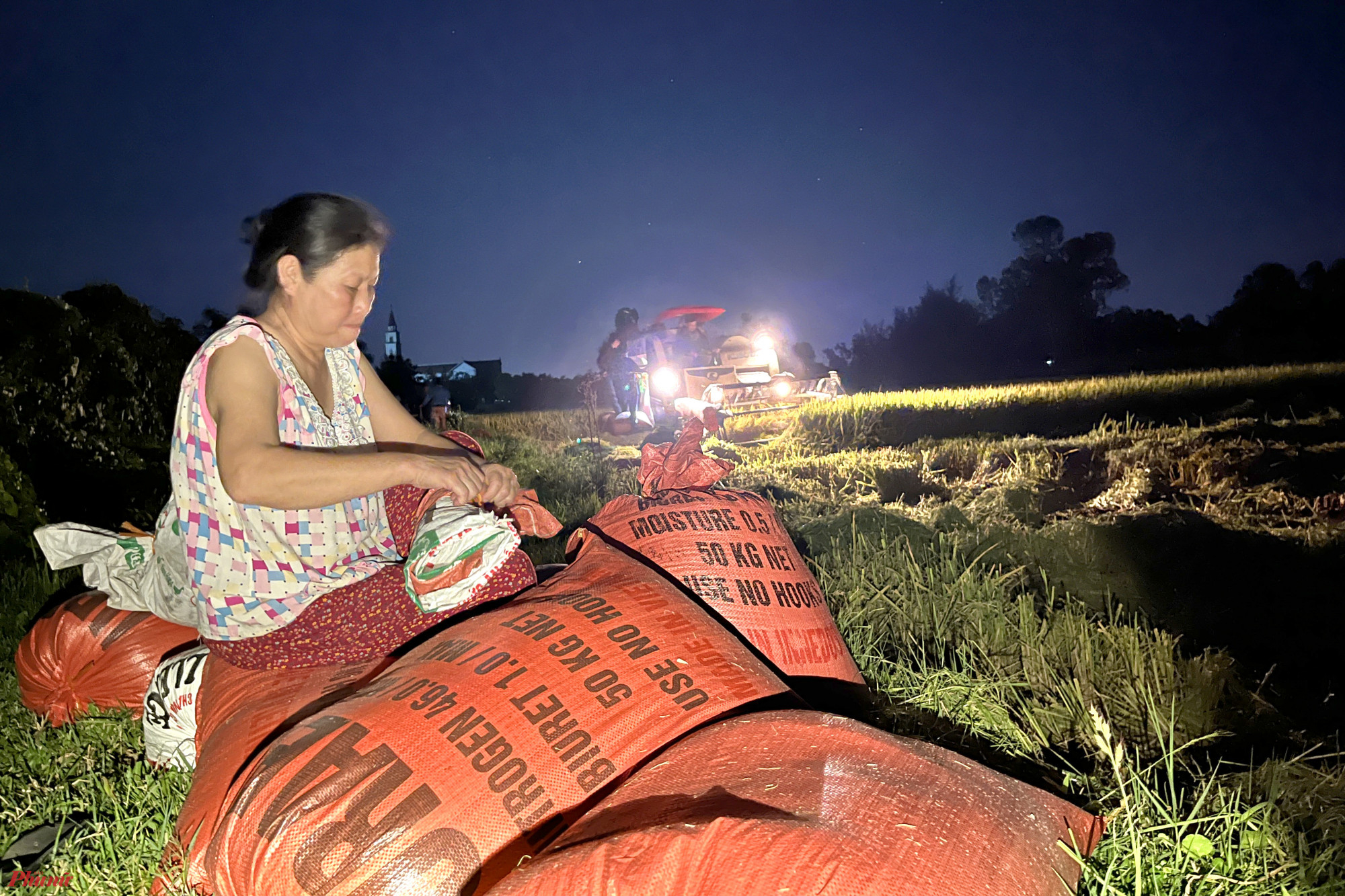 Lúa được mùa, cảm giác mệt mỏi trong những ngày mùa của nông dân dường như cũng được vơi bớt. 