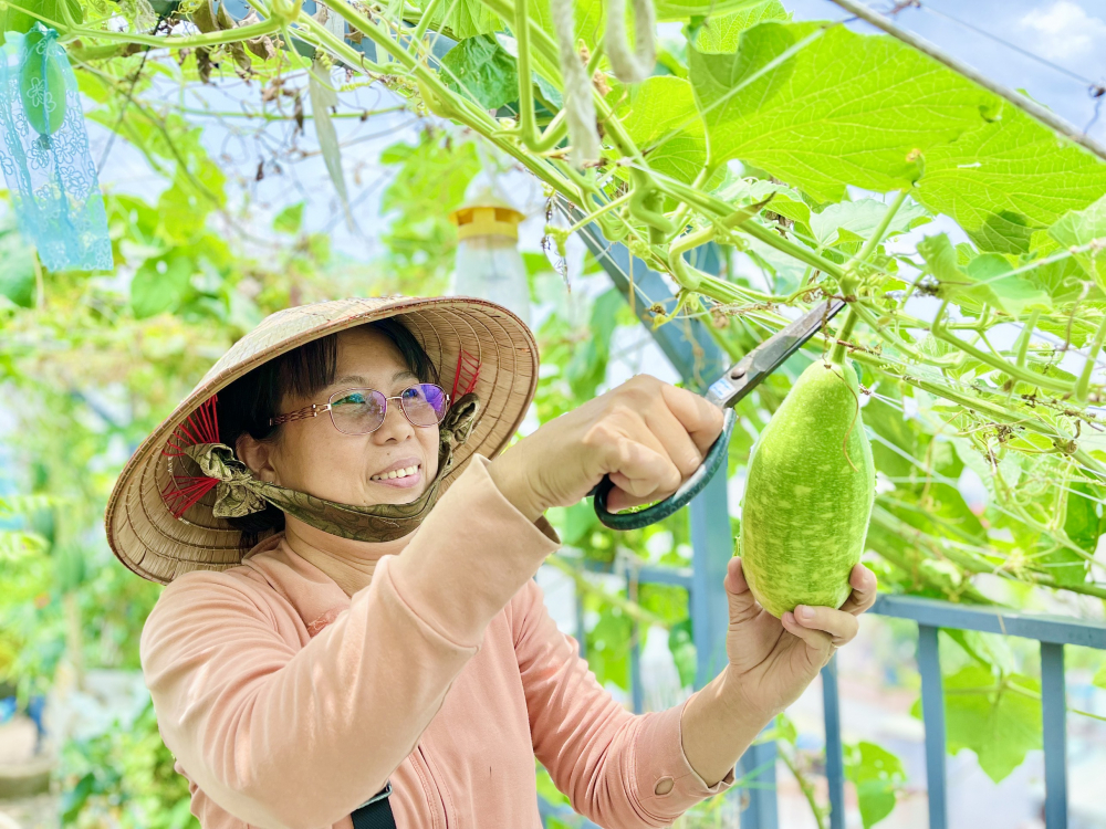 Góc xanh trên sân thượng của gia đình chị Đoàn Thị Xuân Thảo - Chi hội trưởng Chi hội Phụ nữ khu phố 3, phường Phước Long B, người đại diện chị em phát biểu hưởng ứng mô hình Góc xanh gia đình hội viên phụ nữ vào sáng 3/6. 