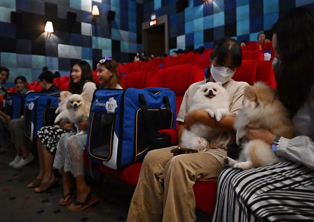 Những con thú cưng được giữ trong túi suốt thời gian chiếu phim