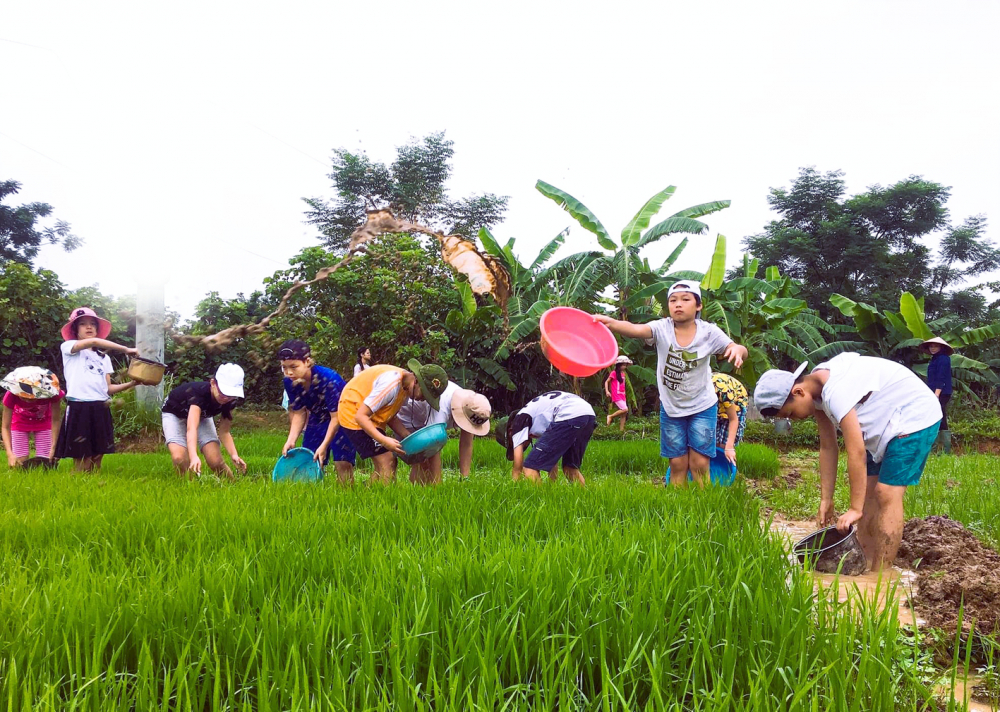 Các em rất thích thú khi được tìm hiểu về nghề nông trong một trại hè - ẢNH: T.M.