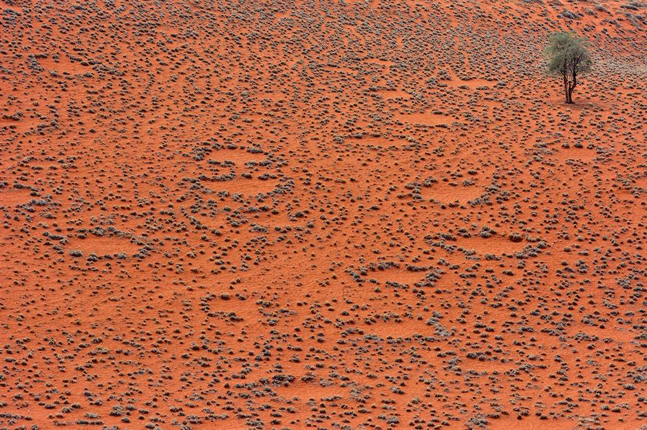 Vòng tròn cổ tích, Namibia Có phải những mảng tròn này, rải rác trên sa mạc Namibian với số lượng hàng triệu, là công việc của các vị thần, người ngoài hành tinh hay, ừm, mối? Rõ ràng một câu trả lời ít lãng mạn hơn những câu trả lời khác, nhưng đó cũng là lý thuyết hợp lý nhất mà các nhà khoa học đã đưa ra cho cái gọi là vòng tròn thần tiên, chỉ được tìm thấy ở đây và một số vùng của Úc. Vẫn chưa có lời giải thích chính thức và các nghiên cứu vẫn tiếp tục.