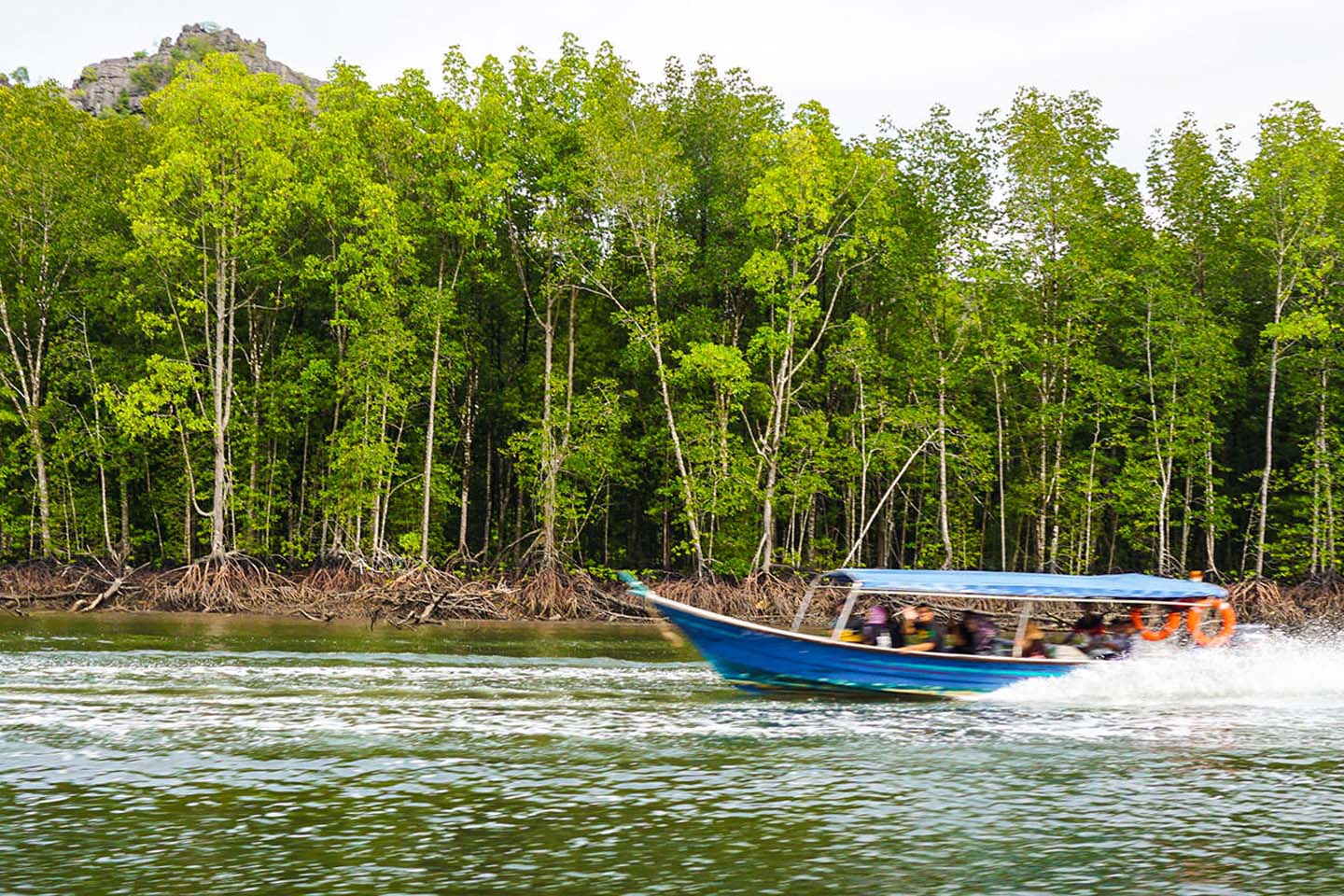 Bằng thuyền, khám phá khu bảo tồn rừng ngập mặn và khám phá hệ sinh thái, hệ thực vật, quần thể chim di cư và chức năng như một vườn ươm cho sinh vật biển trẻ. Sau đó, để có một ngày vui vẻ, hãy ghé thăm trang trại cá nổi, Hang Dơi, Hang Cá sấu, tham gia cho đại bàng ăn và kết thúc một ngày với khung cảnh tuyệt đẹp của Biển Andaman.  Ngoài ra, bạn có thể quyết định tham gia một chuyến tham quan bằng thuyền kayak đến một trang trại cá và khu vực rừng ngập mặn gần đó. Lên thuyền kayak và chèo qua khu rừng ngập mặn để xem hệ thực vật và động vật bản địa, bao gồm đại bàng biển và diều, bói cá, diệc, cá thòi lòi, cua cáy và kỳ đà. Hướng dẫn chèo 