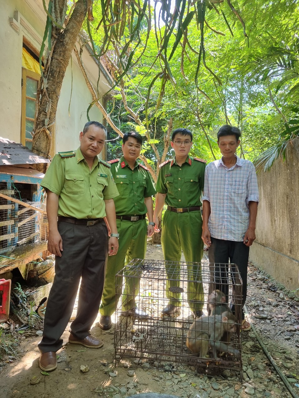 Bàn giao hai cá thể Khỉ quý hiếm