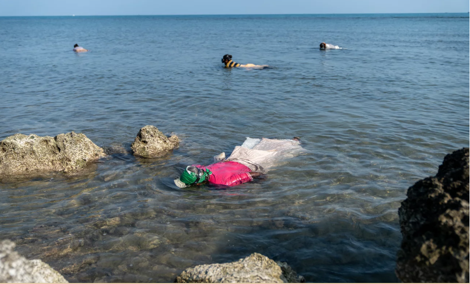 Những nữ thợ lặn thường dành 6 giờ mỗi ngày trên biển, lặn sâu tới 4 mét để thu hoạch rong biển từ những tảng đá sắc nhọn. Dưới biển, họ vừa nín thở nhặt những rong biển, vừa nhét chúng vào túi buộc quanh eo. Những chiếc túi bao buộc quanh sari và kính bảo hộ cũ kỹ là thiết bị duy nhất của họ - những người thu gom rong biển ở bờ biển phía đông nam Ấn Độ trong nhiều thập kỷ, truyền kỹ năng từ mẹ sang con gái. Sethunambu, giống như hầu hết phụ nữ, chỉ có một cái tên, cho rằng bà hiện khoảng 60 tuổi và đã lặn trong phần lớn cuộc đời trưởng thành của mình. “Tôi làm nghề này đã 20 năm qua và tôi đã gặp phải những rủi ro giống như những phụ nữ khác như tôi,” cô nói. “Chúng tôi buộc một chiếc bao tải qua sari, quanh eo và thu thập những cây mà chúng tôi đã loại bỏ khỏi đá bằng bàn tay bầm tím khi lặn sâu dưới nước.”