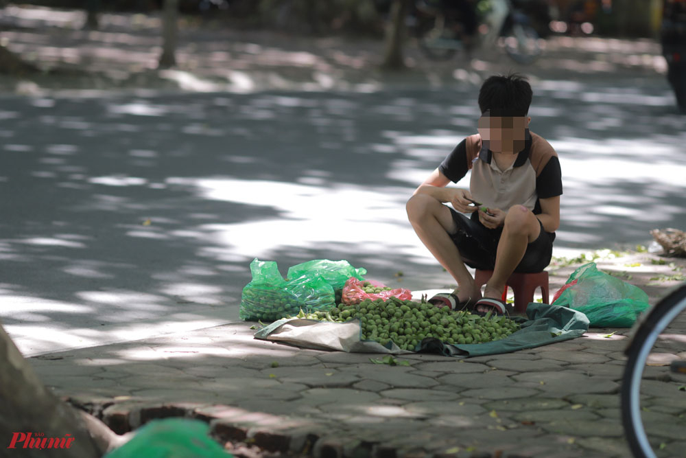 Theo tìm hiểu, trước đây, những người trèo sấu phải chọn thời gian sáng sớm hoặc trưa vắng mới trèo sấu. Tuy nhiên, giờ đây, rất khó bắt gặp hình ảnh này tại Hà Nội dù đang là mùa sấu.