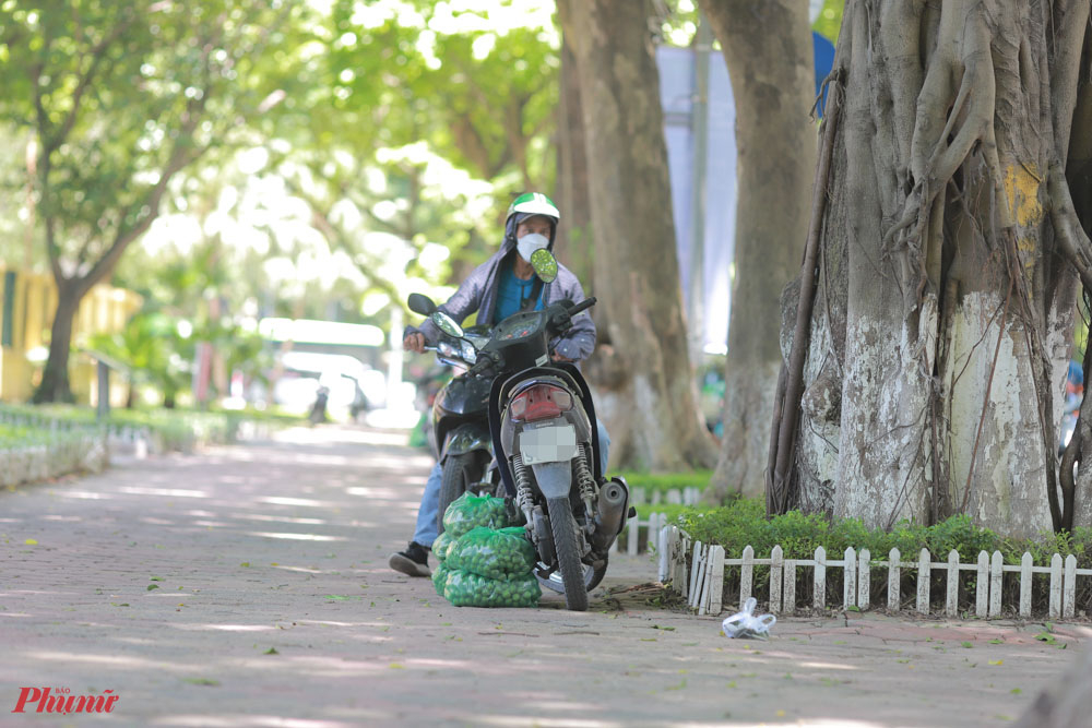 Từng túi lớn đựng sấu được đặt bên cạnh xe vừa chuyển đến ngay khi số sấu đã được bán vơi. 