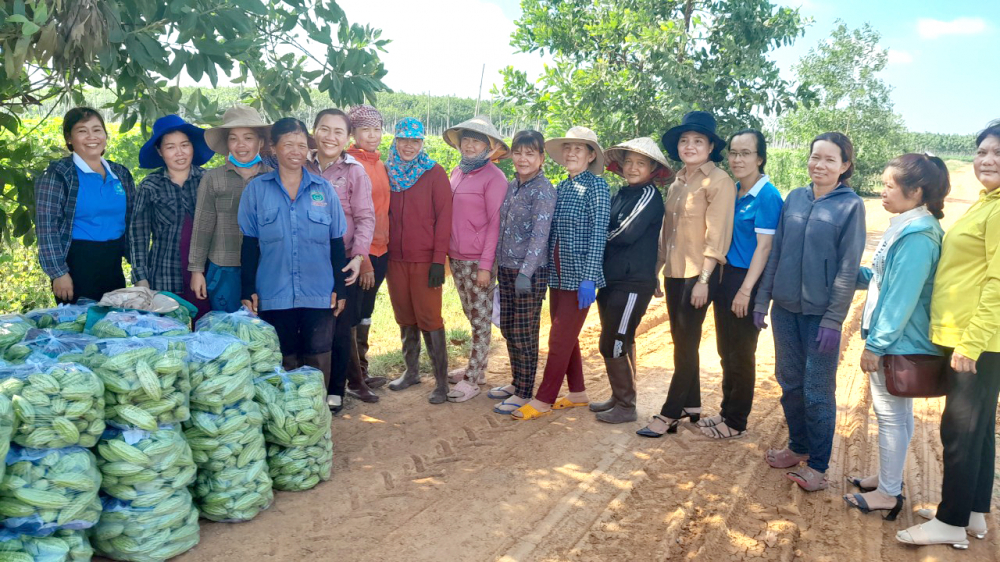 Chị em phụ nữ Việt Nam - Campuchia cùng nhau lao động