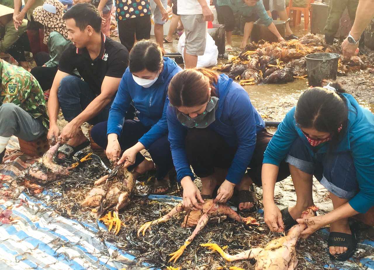 Mỗi người một tay, hỗ trợ anh Phố làm thịt gà bán vớt vát lại tiền vốn - Ảnh: Khánh Trung