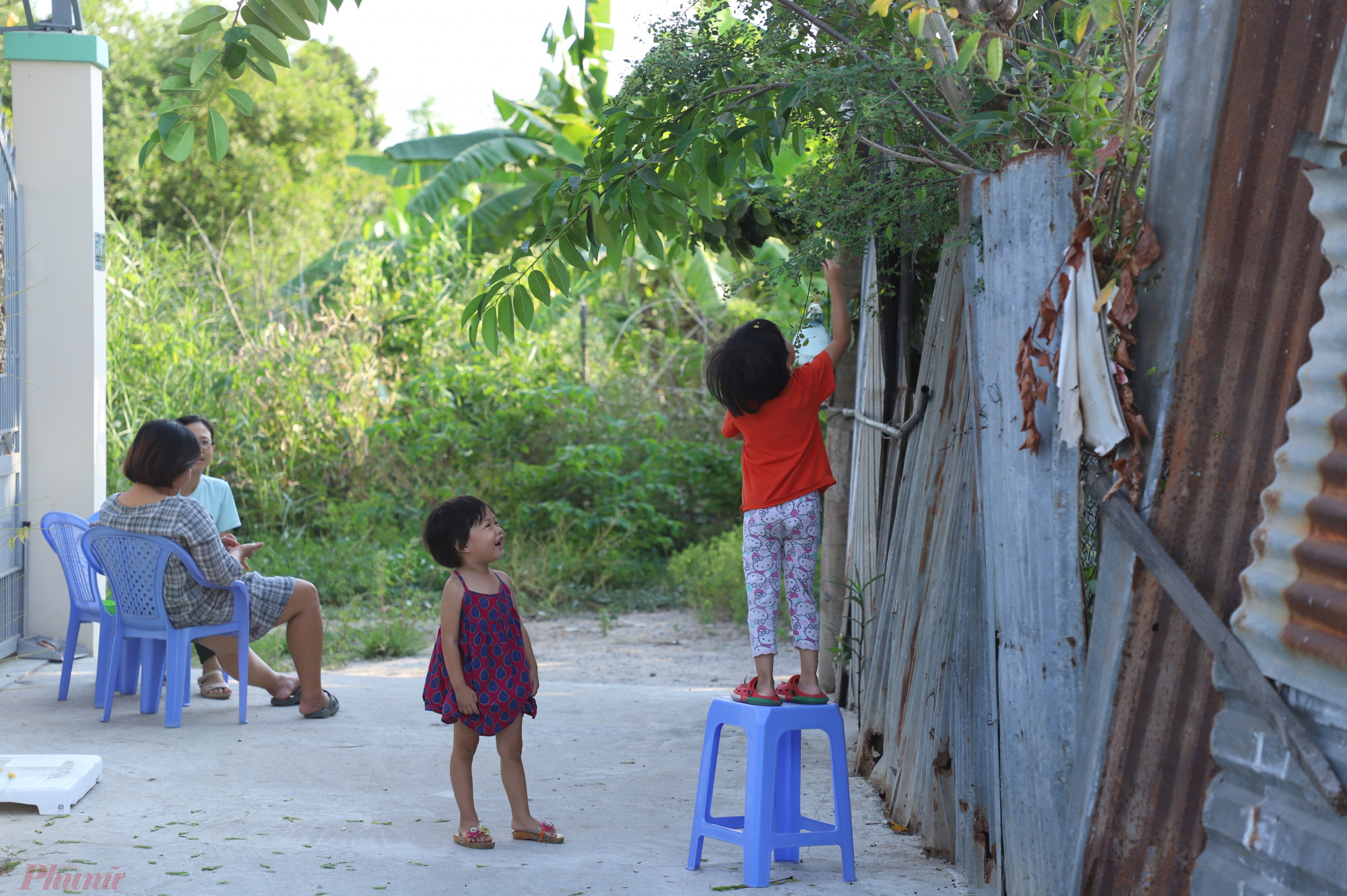 Trẻ em trong khu đô thị 'treo cũng không có những khu vui chơi nên đành chơi tạm cỏ cây bên nhà.