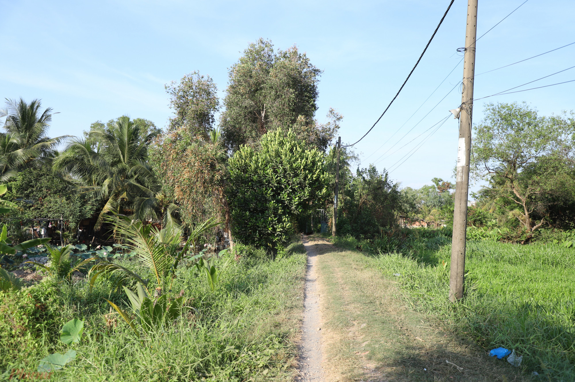 Con đường dẫn vào nhà người dân trong Khu đô thị Bình Quới - Thanh Đa không khác gì ở miền quê xa xôi.