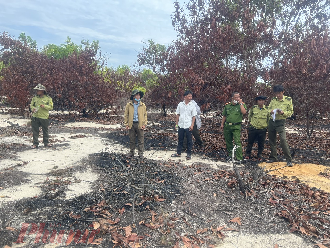 Công an, kiểm lâm kiểm tra thực tế vụ cháy 0,58ha rừng phòng hộ ở xã Bình Sa, huyện Thăng Bình 