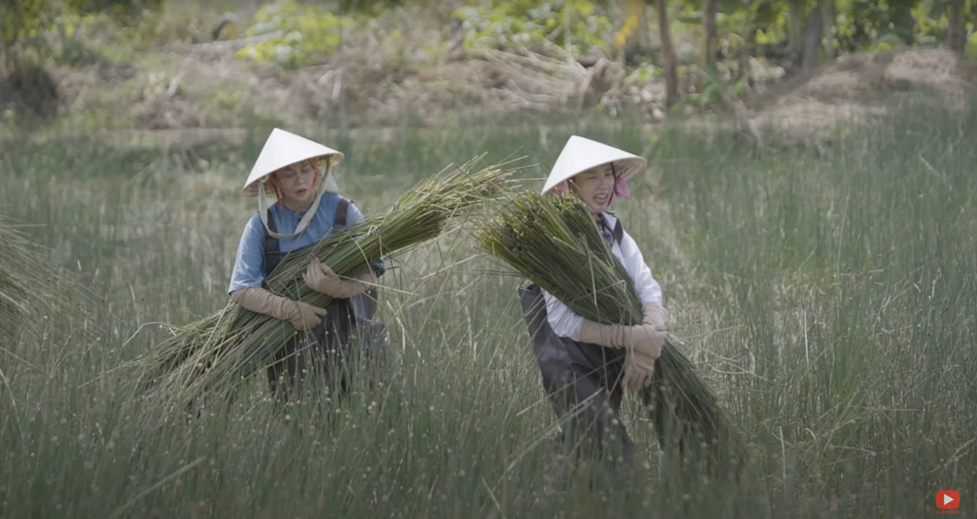 Thuỳ Tiên và Misthy trải nghiệm cắt cỏ bàng trong tập 1 của chương trình Nong dân