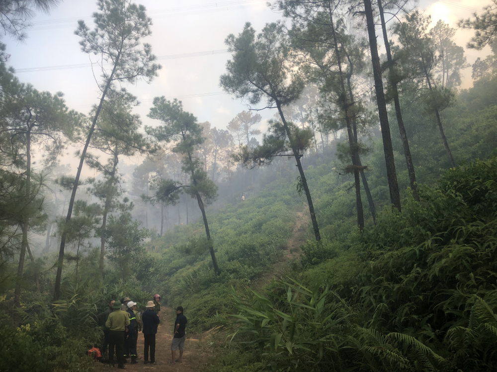Đến 17h giờ 30 chiều 30/7, hàng chục cán bộ, chiến sĩ Cảnh sát PCCC, Kiểm lâm, cùng lực lượng chức năng tỉnh Thừa Thiên Huế đang nỗ lực khống chế vụ cháy rừng thông ở xã Thủy Bằng, TP. Huế.