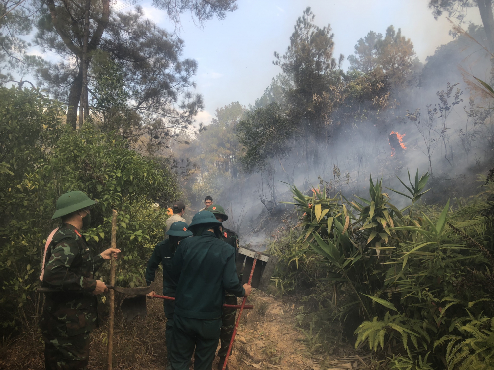 Theo thông tin ban đầu, vào khoảng 14h30 cùng ngày, lực lượng Kiểm lâm  Thùa Thiên Huế nhận được tin báo xảy ra cháy rừng thông tại xã Thủy Bằng, nên đã huy động lực lượng cùng phương tiện đến hiện trường để tiến hành dập lửa