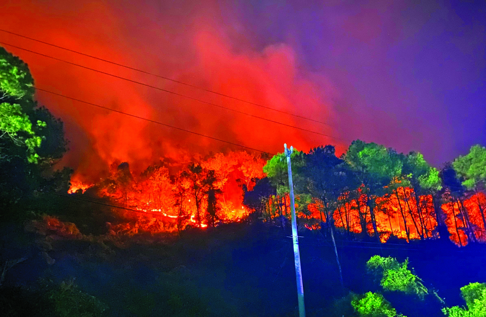 Một cánh rừng ở thị xã Hương Thủy, tỉnh Thừa Thiên - Huế bị lửa thiêu rụi năm 2022 - ẢNH: THUẬN HÓA