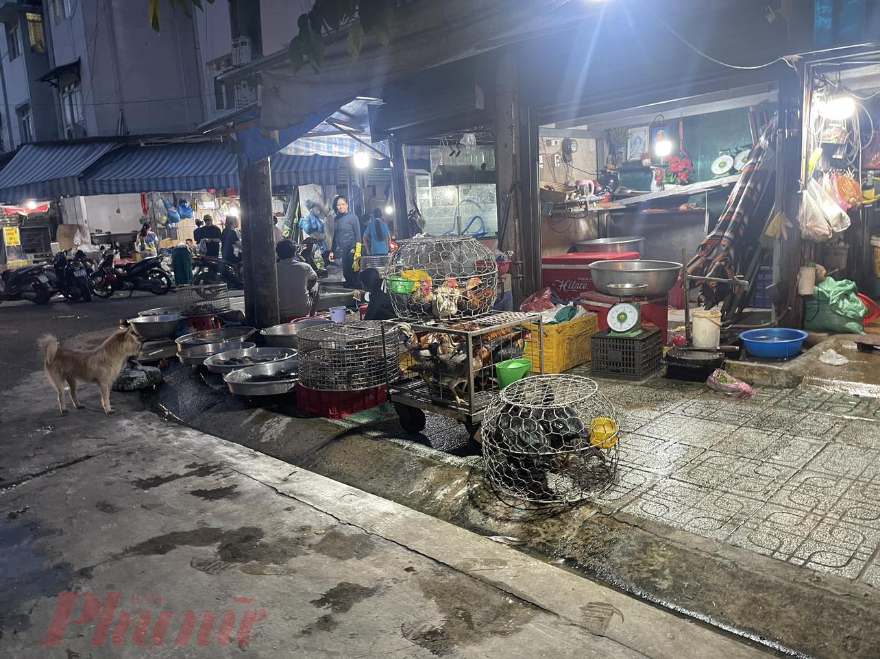 Một điểm cũng bày bán gà sống, giết mổ tại chỗ ở chợ Lê Thị Hồng, quận Gò Vấp, TPHCM - 