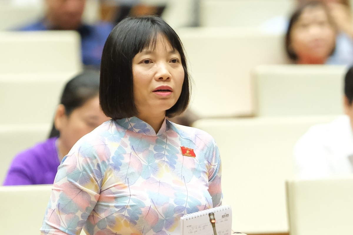ĐBQH Nguyễn Thị Việt Nga phản đối việc chuyển các bệnh viện tuyến trung ương về cho Hà Nội quản lý