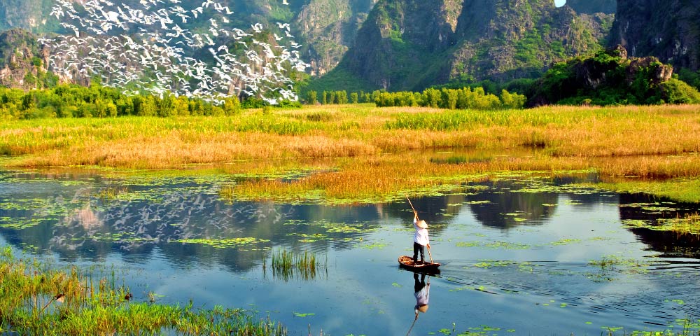 Bản người Mường: Địa phận Cúc Phương cũng có một bản làng của cộng đồng người Mường với nếp sinh hoạt độc đáo. Tại đây, bạn có thể check-in ở các khu nhà sàn, khung dệt thổ cẩm hay ruộng bậc thang. Trải nghiệm văn hóa sẽ khiến bạn thích thú trong chuyến du lịch của mình.