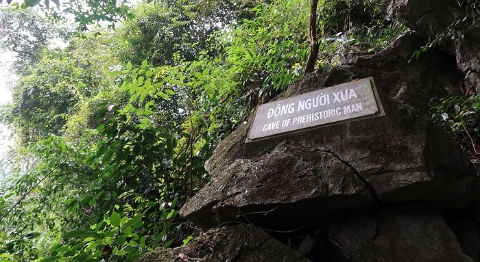 Khám phá các hang động tiền sử: Động Người Xưa, hang Con Moong, hang Mang Chiêng, động Trăng Khuyết,… là những hang động nổi tiếng bên trong rừng. Rất nhiều du khách yêu thích thám hiểm thường lựa chọn các hang động này để khám phá. 