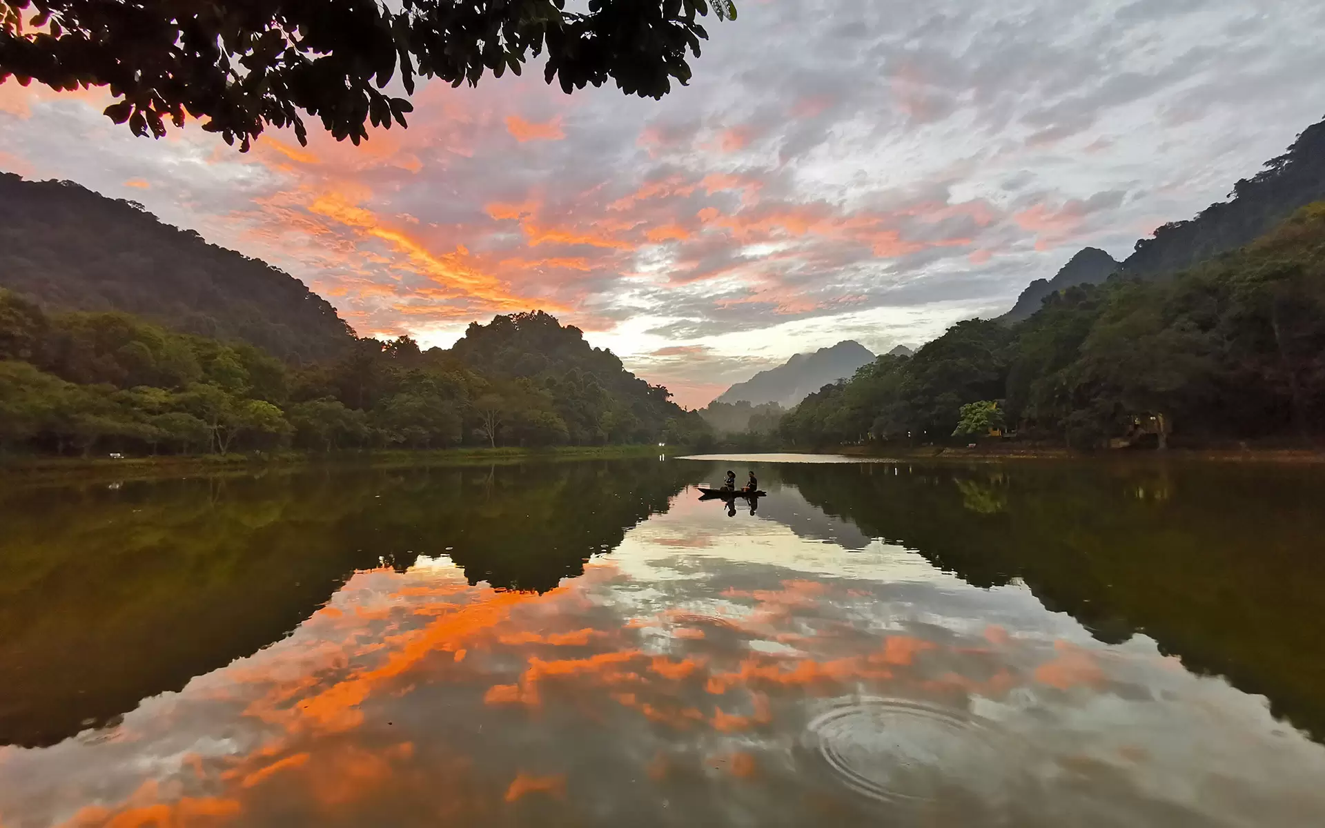 Cúc Phương là một khu rừng đặc dụng, hay còn được gọi là khu bảo tồn thiên nhiên, nằm trên địa phận của 3 tỉnh là Thanh Hóa, Hòa Bình và Ninh Bình. 