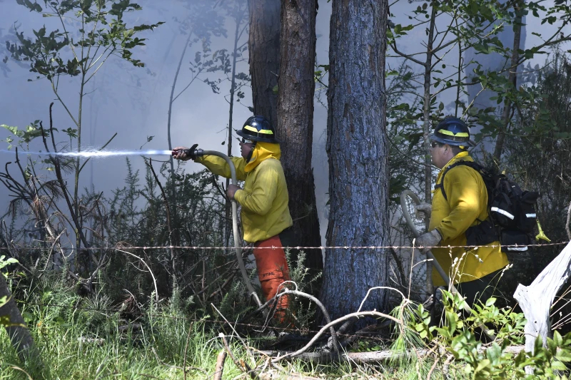 Các thành viên của đội cứu hỏa chiến đấu với đám cháy ở Kula, Hawaii