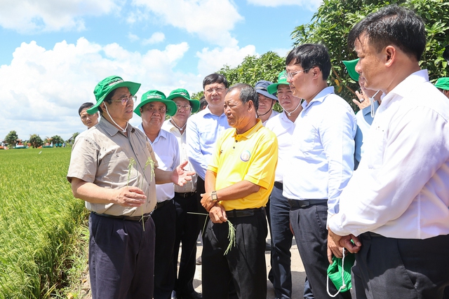 Thủ tướng Phạm Minh Chính đến khảo sát mô hình nông nghiệp công nghệ cao ở HTX Dịch vụ nông nghiệp Thắng Lợi (huyện Tháp Mười). Ảnh: VGP/Nhật Bắc