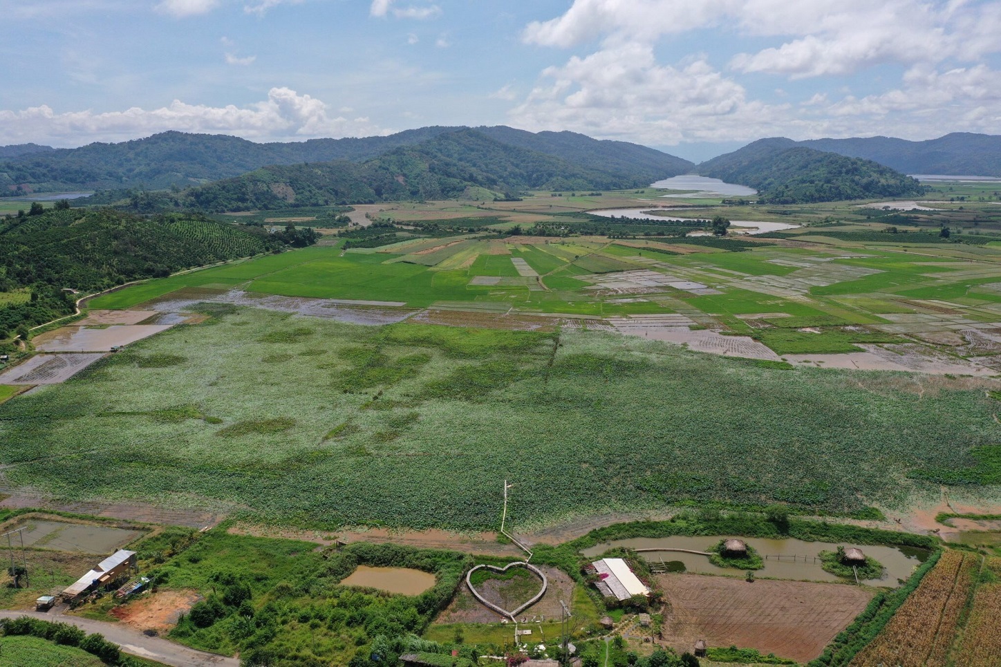 Đầm sen là một hồ nước tự nhiên hình thành cách đây hàng trăm nghìn năm.  nằm trong Công viên địa chất toàn cầu UNESCO Đắk Nông. Người dân xã Nâm N'đir cho biết, khoảng hơn 10 năm trước, người dân địa phương đã đưa sen về trồng, từ đó hình thành một trong những đầm sen lớn nhất tỉnh Đắk Nông.