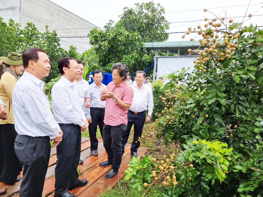 Ông Nguyễn Văn Hiếu (thứ hai từ trái sang) - Bí thư Thành ủy TP Cần Thơ -  thăm một nhà vườn trồng thanh nhãn xuất khẩu ở huyện Cờ Đỏ, TP Cần Thơ - ẢNH: HUỲNH LỢI