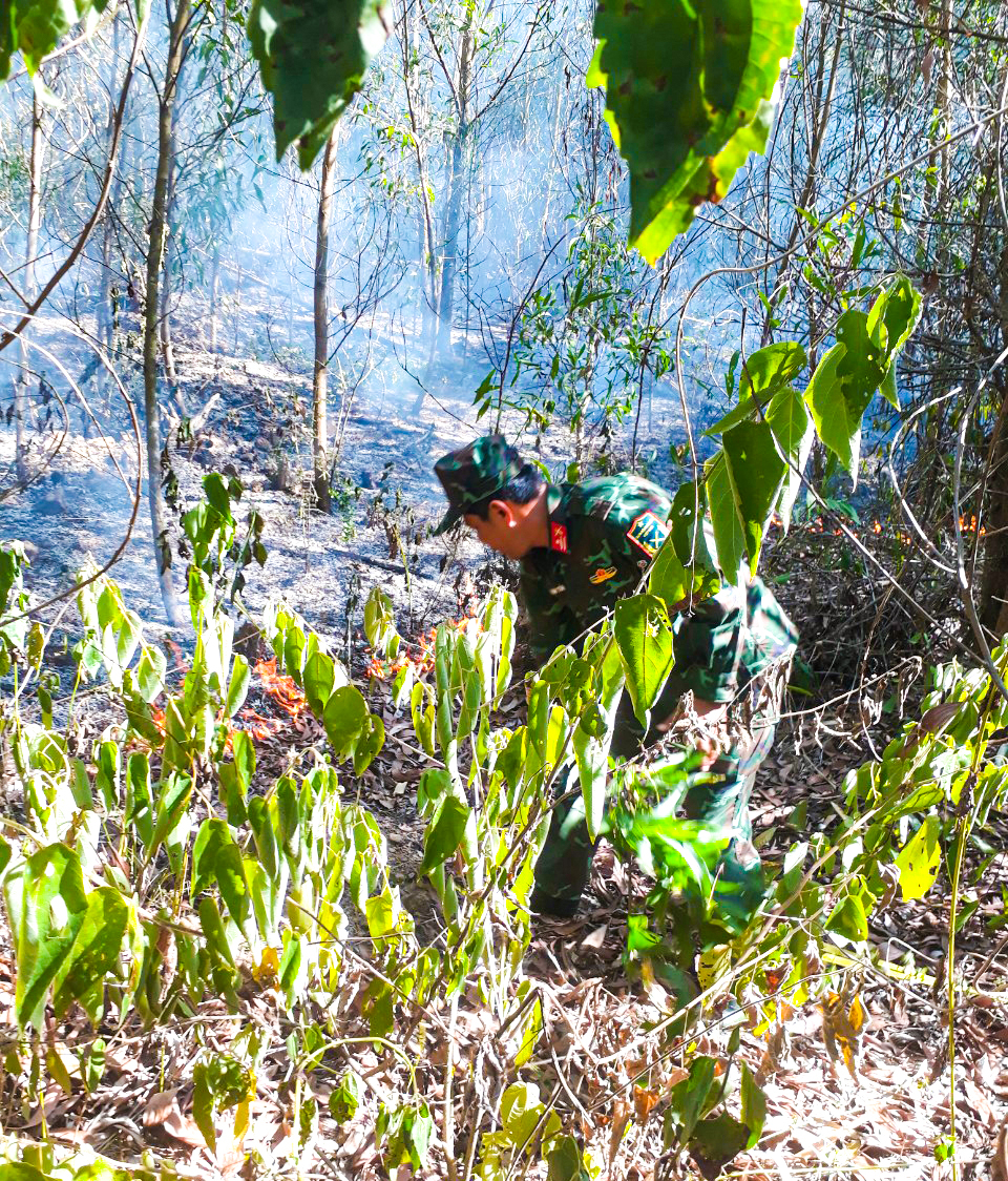 Hiện trường vụ cháy rừng ở xã Bình Long