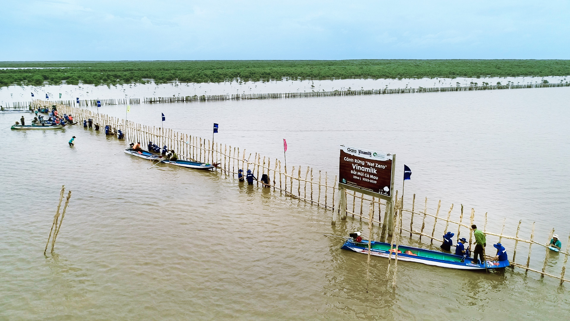 Tuy thời tiết mưa gió nhưng các nhân viên Vinamilk đã cùng Gaia và các cán bộ Vườn quốc gia Mũi Cà Mau hoàn thành việc dựng hàng rào khoanh nuôi cho dự án 25ha tại vùng lõi Vườn quốc gia ngày 18/8