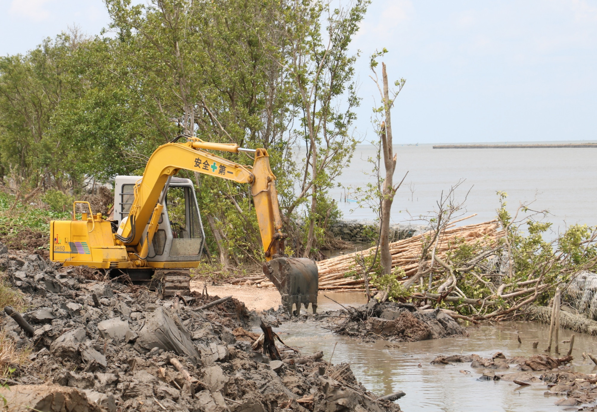 Nhiều đoạn đai rừng phòng hộ ở Cà Mau đã bị sóng biển cuốn trôi.
