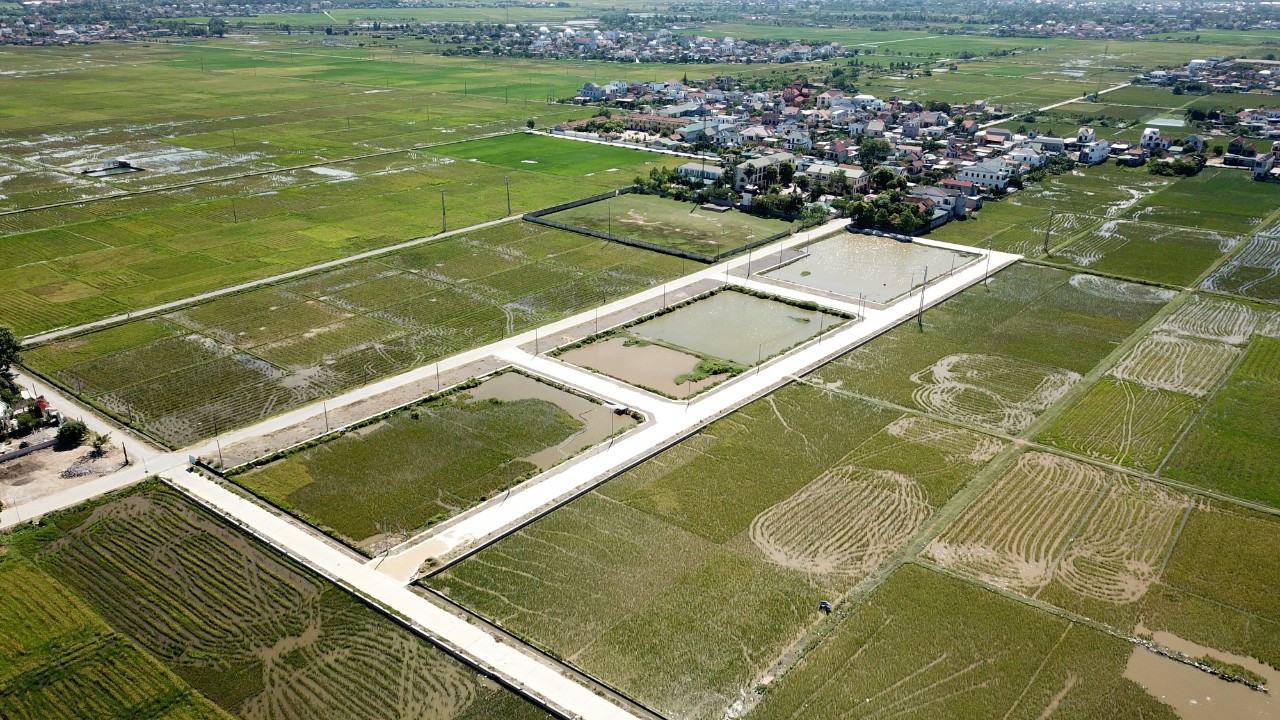 56 lô đất ở khu vực Đồng Quan nơi ông Trọng trúng đấu giá 23 lô đất - Ảnh: Khánh Trung
