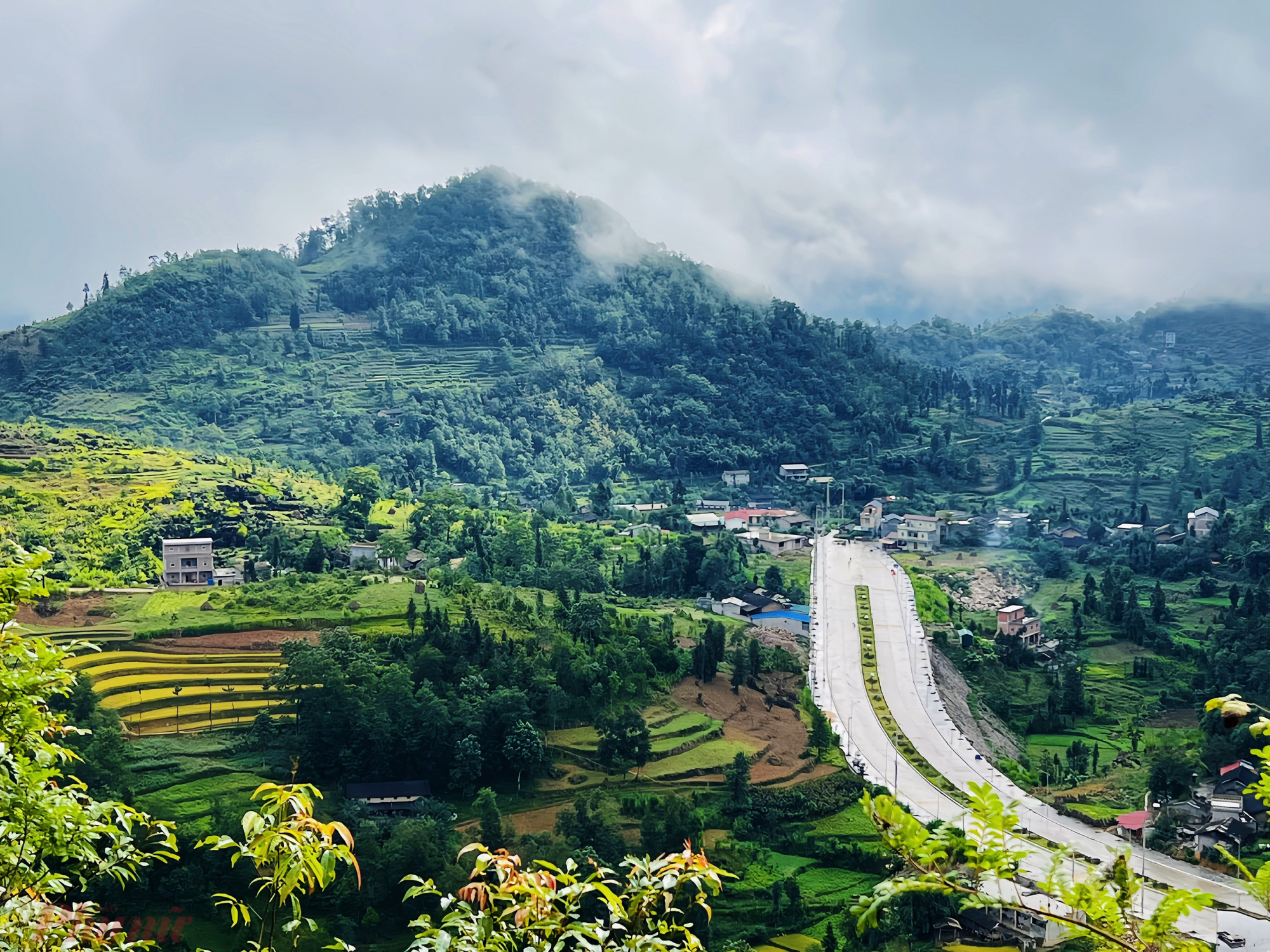 Những rừng cây xanh ngát, cánh đồng lúa chín vàng tô điểm cho cảnh sắc Hà Giang mùa thu