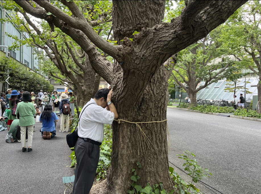 Anh Takayuki Nakamura đang thể hiện sự phản đối việc chặt cây xanh - Ảnh: Stephen Wade /AP