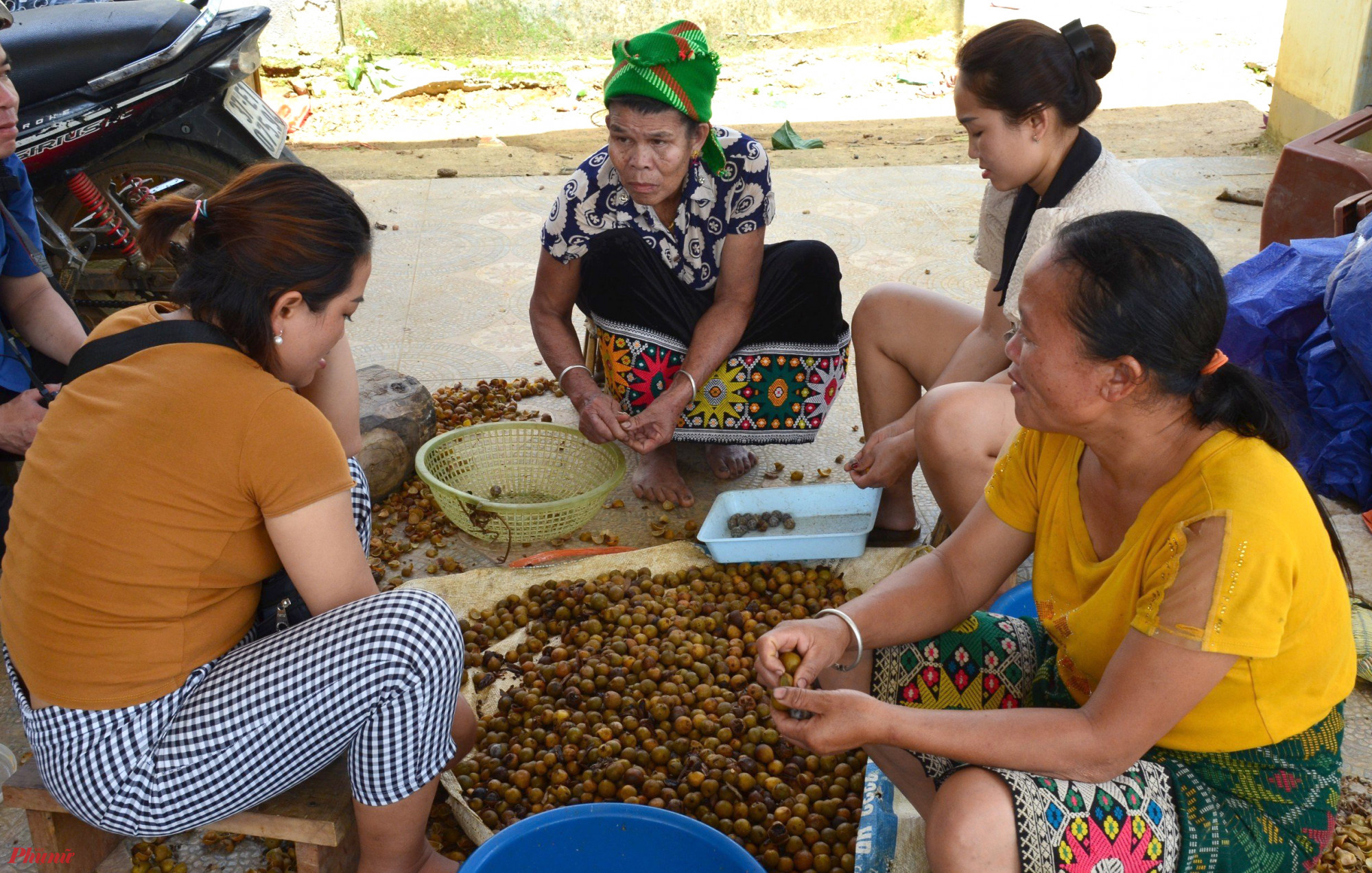 Xã Tây Sơn, huyện Kỳ Sơn nằm ở độ cao trên 1.000m so với mực nước biển. Với loại hình khí hậu đặc biệt, người dân nơi đây được hưởng lợi từ thiên nhiên với nhiều đặc sản, trong đó có cây bo bo. Giá trị kinh tế ngày càng cao, cây bo bo đang dần được nhiều người dân nơi đây coi là cây xóa đói, giảm nghèo.