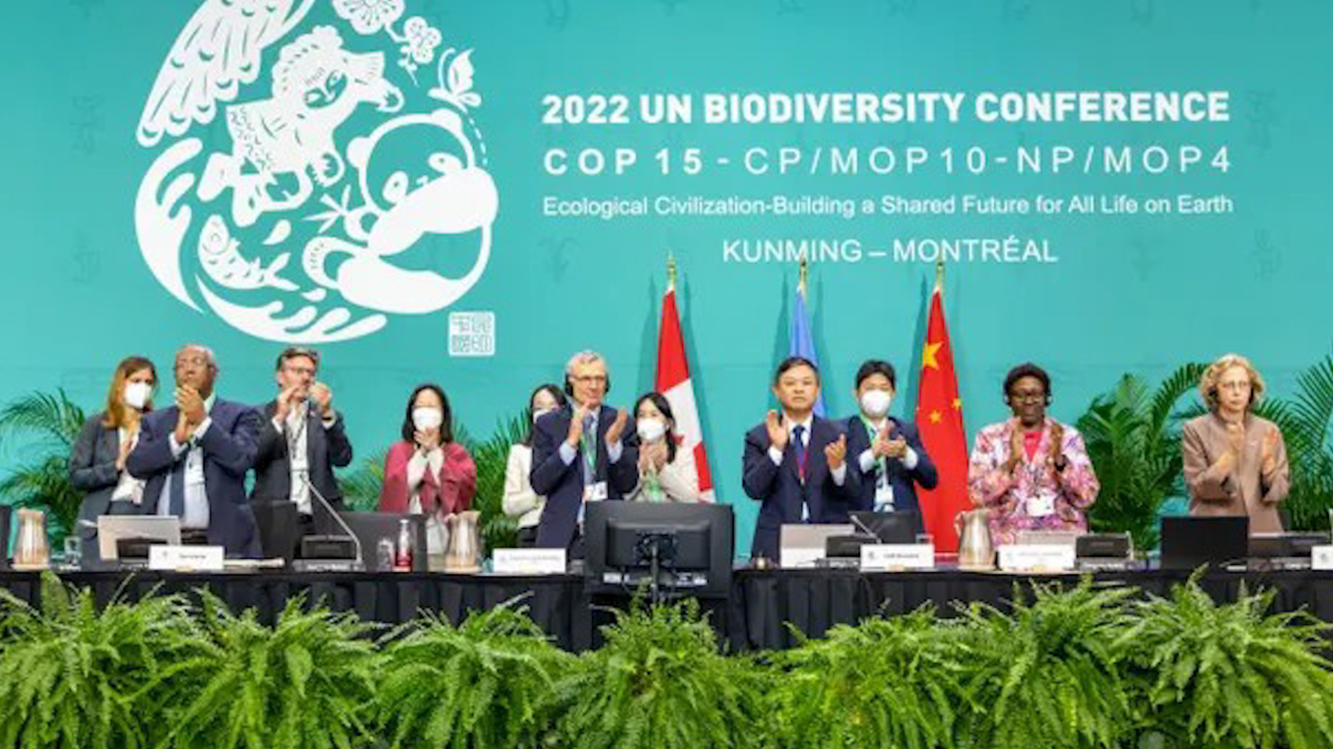 COP15 tổ chức tại Canada tháng 12/2022 xác định ưu tiên tập trung cho các mục tiêu về đa dạng sinh học - Ảnh: Julian Haber/ REUTERS 