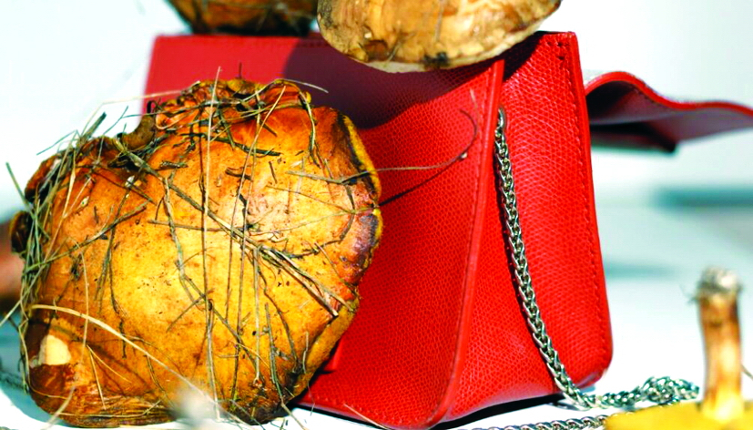 Rác thải thực phẩm được tận dụng để làm túi xách - Nguồn ảnh: Foodmatterslive