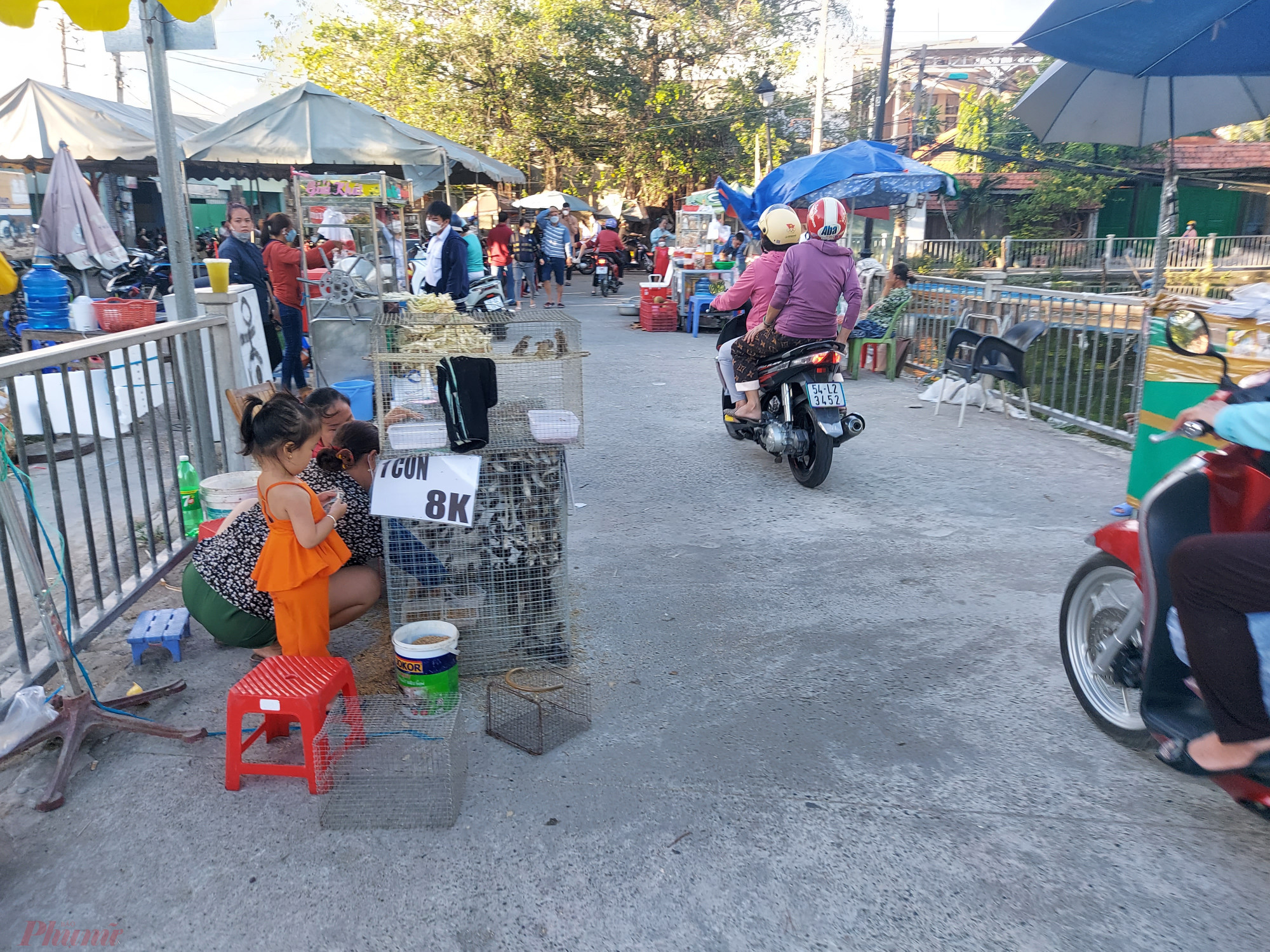 Chim phục vụ phóng sinh được bày bán trên lối vào đình Bình Đông - Ảnh: Sơn Vinh