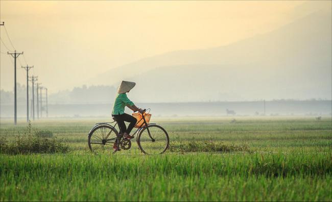 Ảnh mang tính minh họa - Thuyết Nguyễn