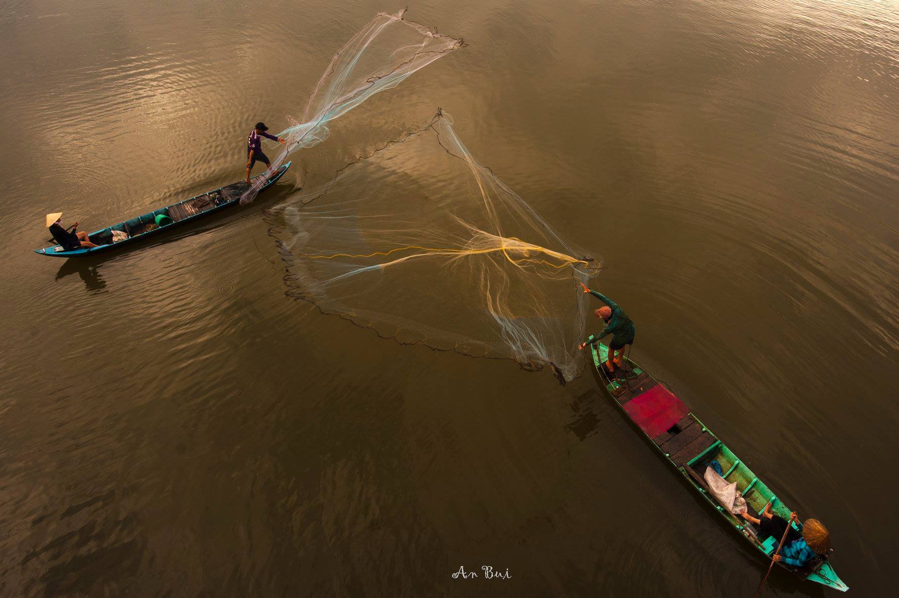 bắt cá linh